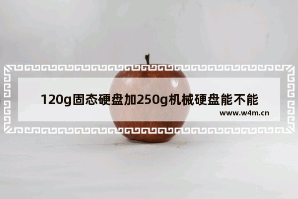 120g固态硬盘加250g机械硬盘能不能玩方舟 方舟机械硬盘固态硬盘