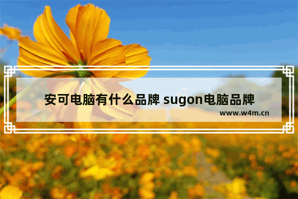 安可电脑有什么品牌 sugon电脑品牌