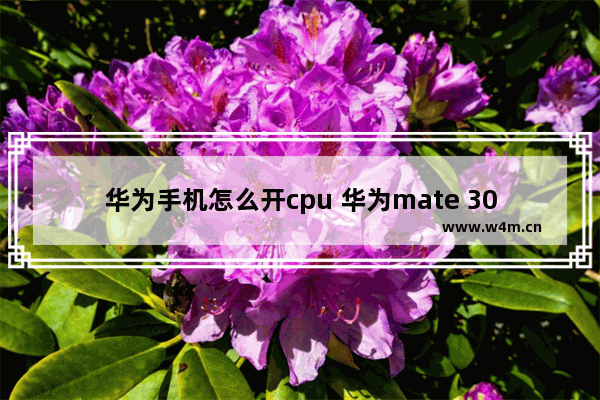 华为手机怎么开cpu 华为mate 30如何查看CPU运行