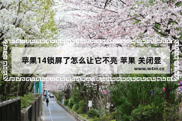 苹果14锁屏了怎么让它不亮 苹果 关闭显示器