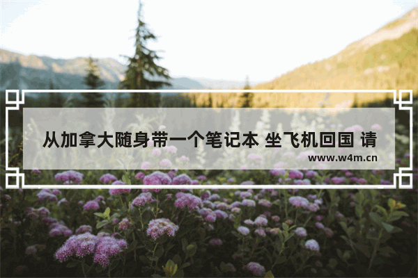 从加拿大随身带一个笔记本 坐飞机回国 请问可以嘛 加拿大笔记本电脑