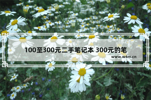 100至300元二手笔记本 300元的笔记本电脑