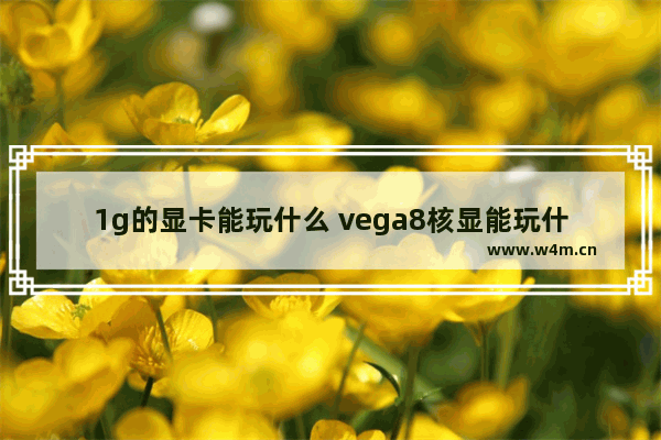 1g的显卡能玩什么 vega8核显能玩什么游戏