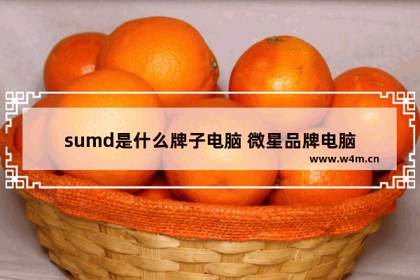 sumd是什么牌子电脑 微星品牌电脑