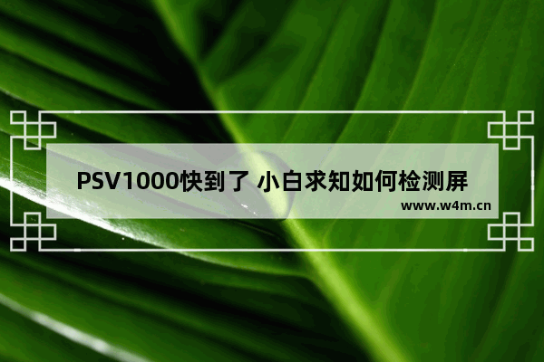 PSV1000快到了 小白求知如何检测屏幕和按键 要现场检验的 液晶显示器的检测