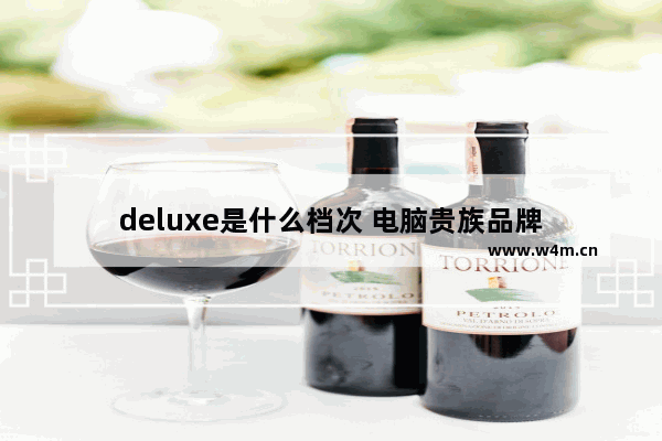 deluxe是什么档次 电脑贵族品牌