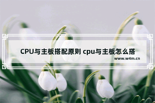 CPU与主板搭配原则 cpu与主板怎么搭配