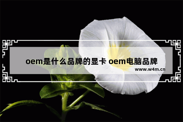 oem是什么品牌的显卡 oem电脑品牌