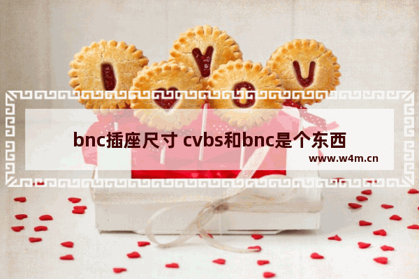 bnc插座尺寸 cvbs和bnc是个东西吗 有啥区别啊