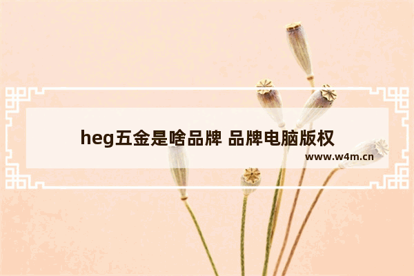 heg五金是啥品牌 品牌电脑版权