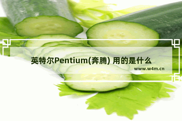 英特尔Pentium(奔腾) 用的是什么插槽 cpu 516