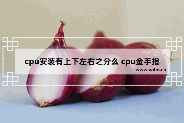 cpu安装有上下左右之分么 cpu金手指