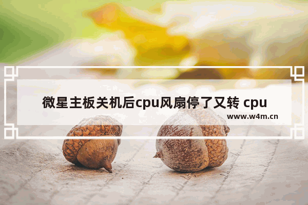 微星主板关机后cpu风扇停了又转 cpu风扇掉了