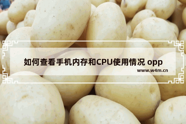 如何查看手机内存和CPU使用情况 oppo手机cpu型号最好的是哪款