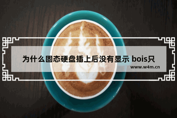 为什么固态硬盘插上后没有显示 bois只显示了机械硬盘 固态硬盘怎么找出机械硬盘