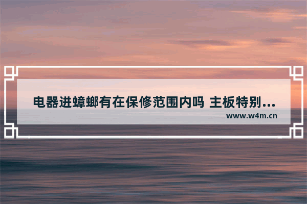 电器进蟑螂有在保修范围内吗 主板特别容易受潮有没有可以让它受潮不那么频