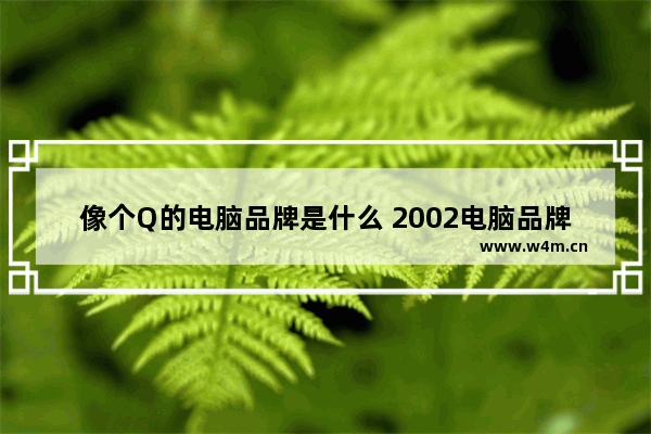 像个Q的电脑品牌是什么 2002电脑品牌