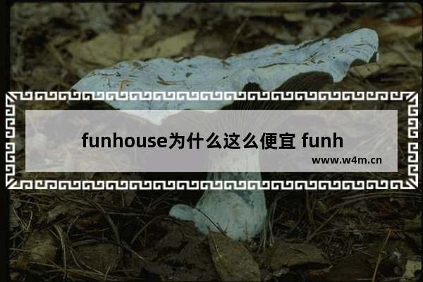 funhouse为什么这么便宜 funhouse是哪个国家的