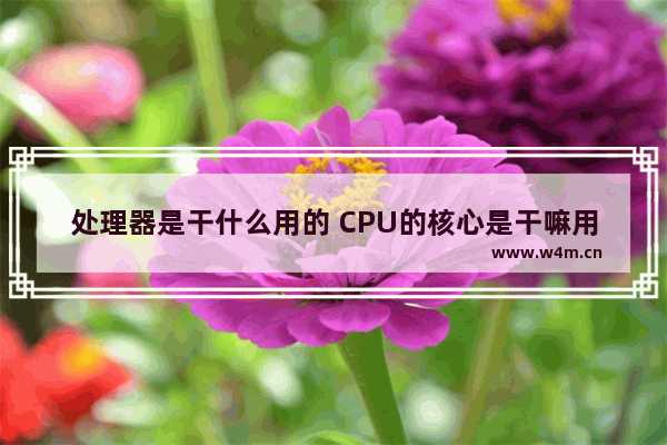 处理器是干什么用的 CPU的核心是干嘛用的