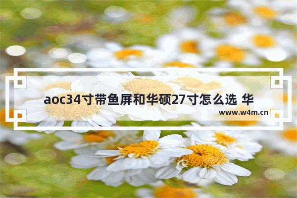 aoc34寸带鱼屏和华硕27寸怎么选 华硕电脑组装曲面屏多少钱