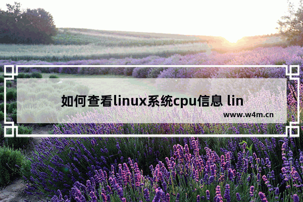 如何查看linux系统cpu信息 linux 查看cpu频率