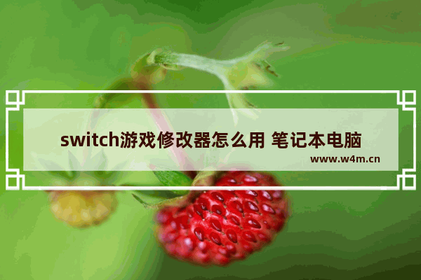 switch游戏修改器怎么用 笔记本电脑修改器