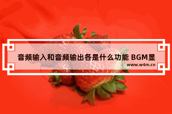 音频输入和音频输出各是什么功能 BGM显卡