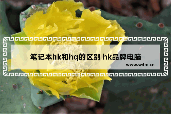 笔记本hk和hq的区别 hk品牌电脑