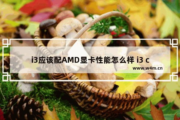 i3应该配AMD显卡性能怎么样 i3 cpu显卡