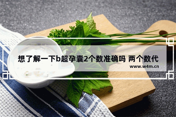 想了解一下b超孕囊2个数准确吗 两个数代表着什么 笔记本电脑b超准吗