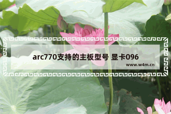 arc770支持的主板型号 显卡096