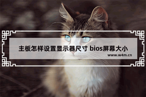 主板怎样设置显示器尺寸 bios屏幕大小怎么调