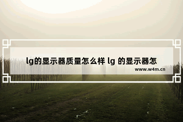 lg的显示器质量怎么样 lg 的显示器怎么样