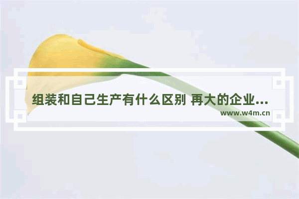 组装和自己生产有什么区别 再大的企业也不能做到什么零件都是自己生产的吧 电脑组装自动生产线设备