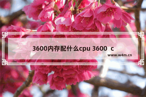 3600内存配什么cpu 3600  cpu