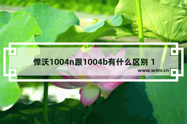 悍沃1004n跟1004b有什么区别 1004显卡