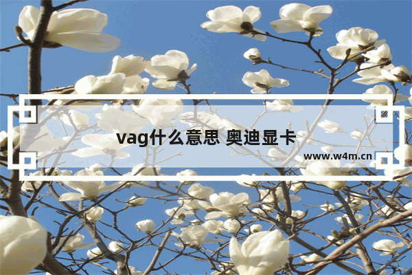 vag什么意思 奥迪显卡