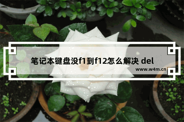 笔记本键盘没f1到f12怎么解决 dell的键盘破按F1必须FN+F1组合 怎么调成直接按F1的