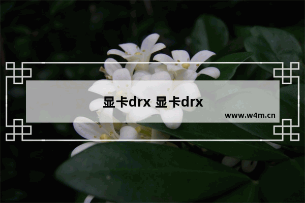 显卡drx 显卡drx