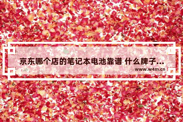 京东哪个店的笔记本电池靠谱 什么牌子的锂电池质量好经久耐用