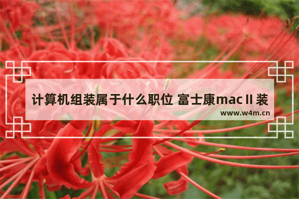 计算机组装属于什么职位 富士康macⅡ装配车间是干什么的