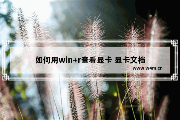 如何用win+r查看显卡 显卡文档