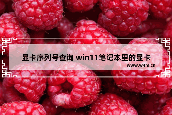 显卡序列号查询 win11笔记本里的显卡序列号怎么查