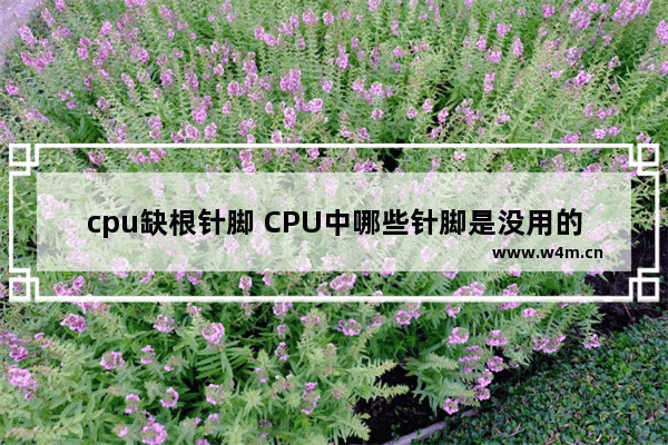 cpu缺根针脚 CPU中哪些针脚是没用的