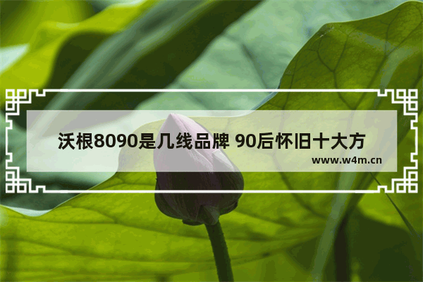 沃根8090是几线品牌 90后怀旧十大方便面