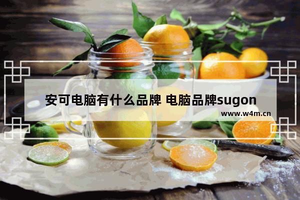 安可电脑有什么品牌 电脑品牌sugon