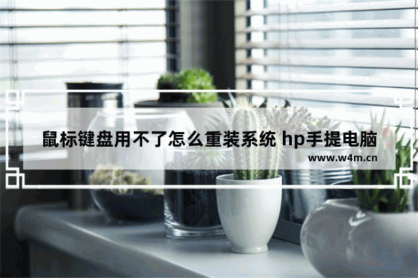 鼠标键盘用不了怎么重装系统 hp手提电脑重装系统键是f12吗