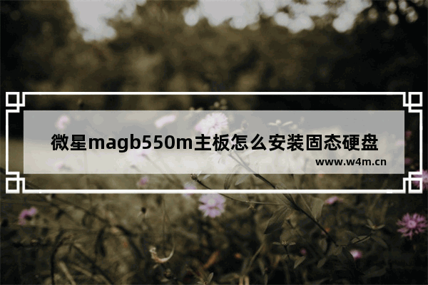 微星magb550m主板怎么安装固态硬盘 固态硬盘没托盘