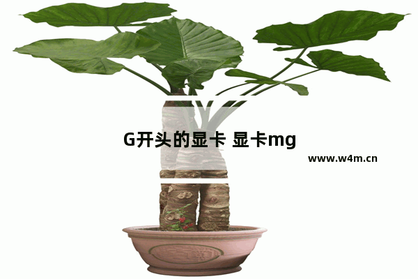 G开头的显卡 显卡mg