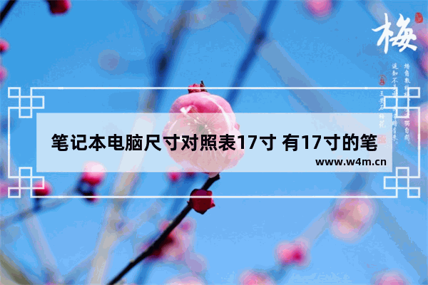 笔记本电脑尺寸对照表17寸 有17寸的笔记本电脑